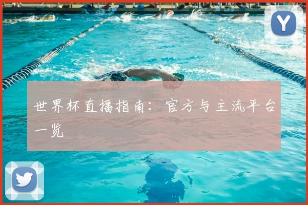 世界杯直播指南：官方与主流平台一览